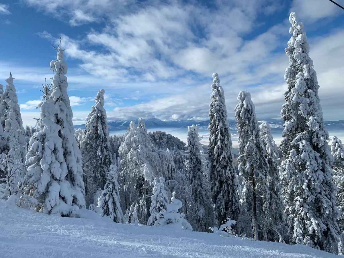 Silver Mountain Poiana Brasov Buitenkant foto