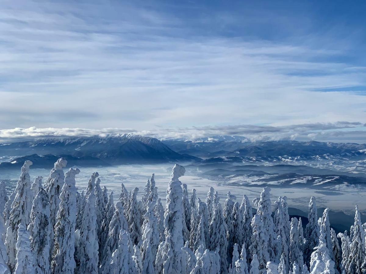 Silver Mountain Poiana Brasov Buitenkant foto