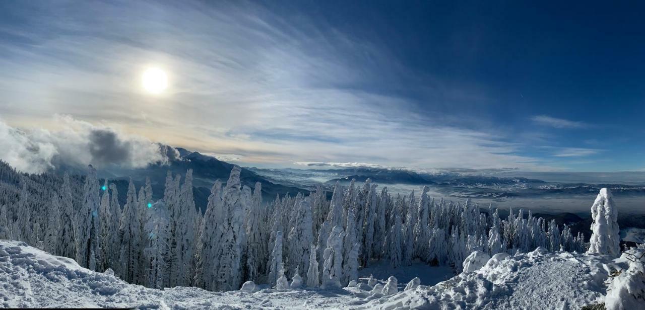 Silver Mountain Poiana Brasov Buitenkant foto